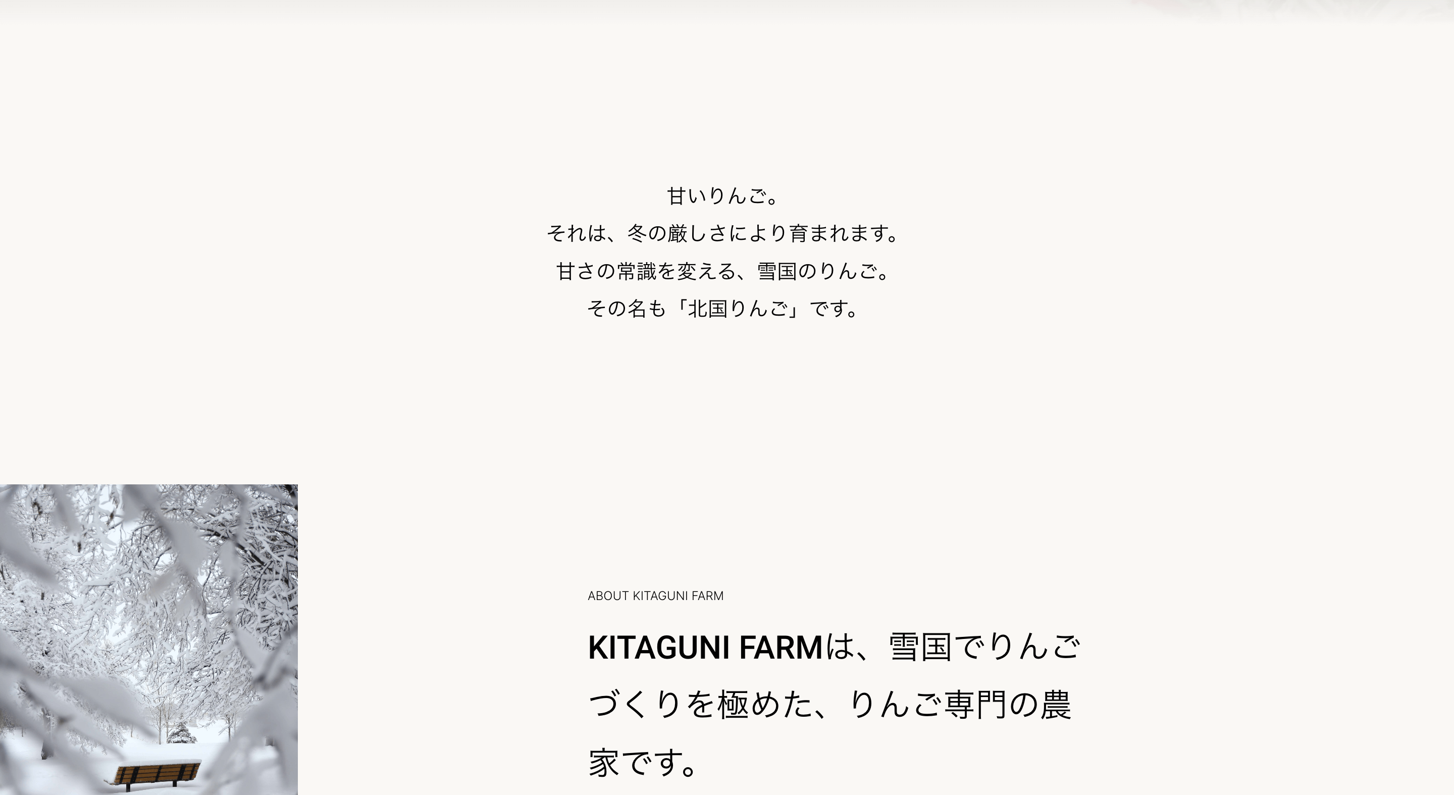 サイトのイメージ画像です